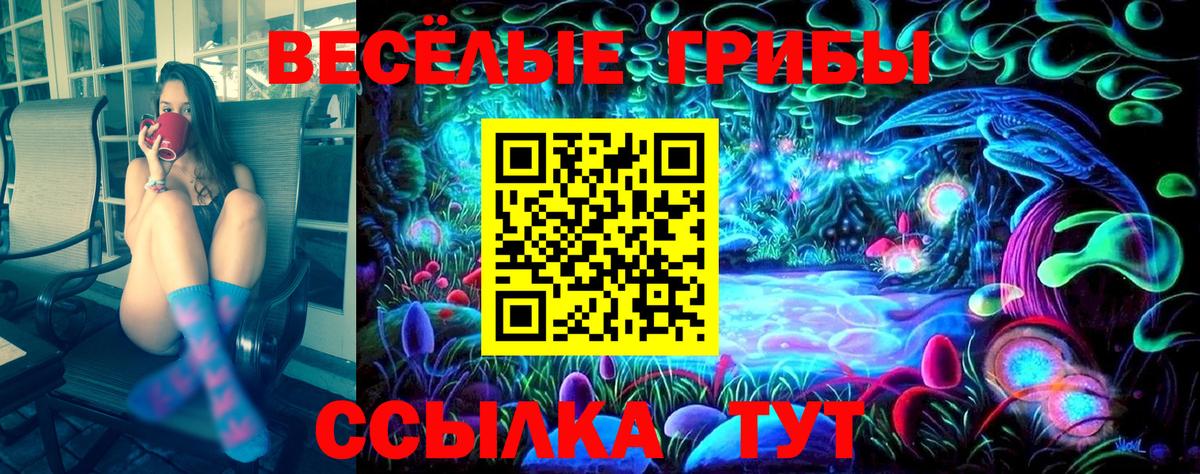 Галлюциногенные грибы мицелий  Вход с VPN  Сальск 