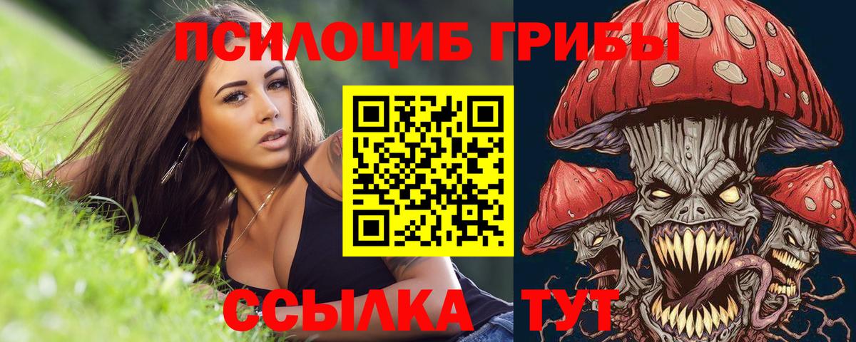 Псилоцибиновые грибы MAGIC MUSHROOMS Сальск